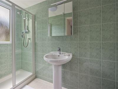 Picture 13